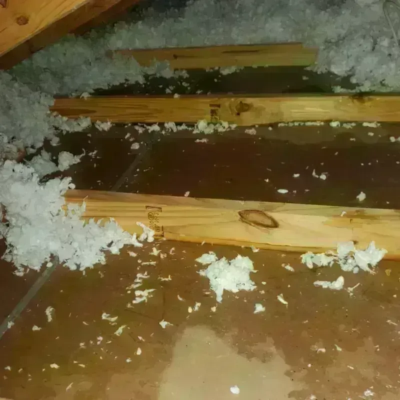 Attic Water Damage in Madison County, IL