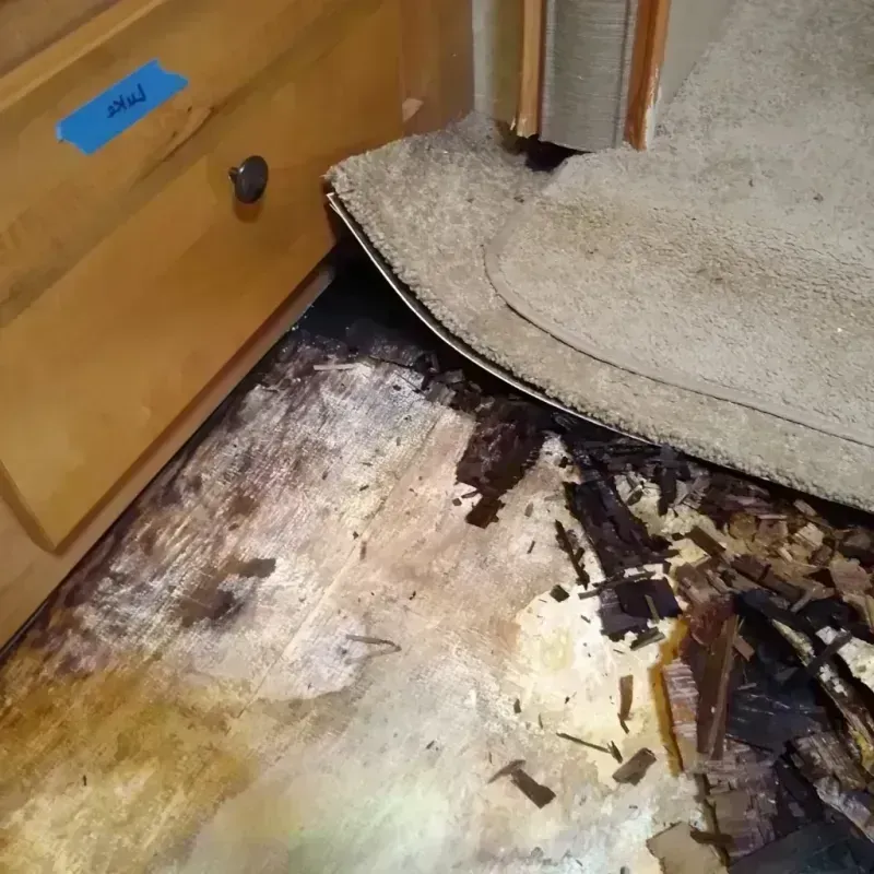 Wood Floor Water Damage in Madison County, IL